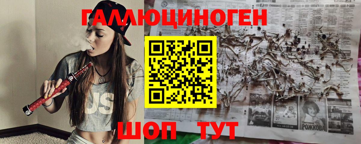 Псилоцибиновые грибы прущие грибы Петропавловск-Камчатский